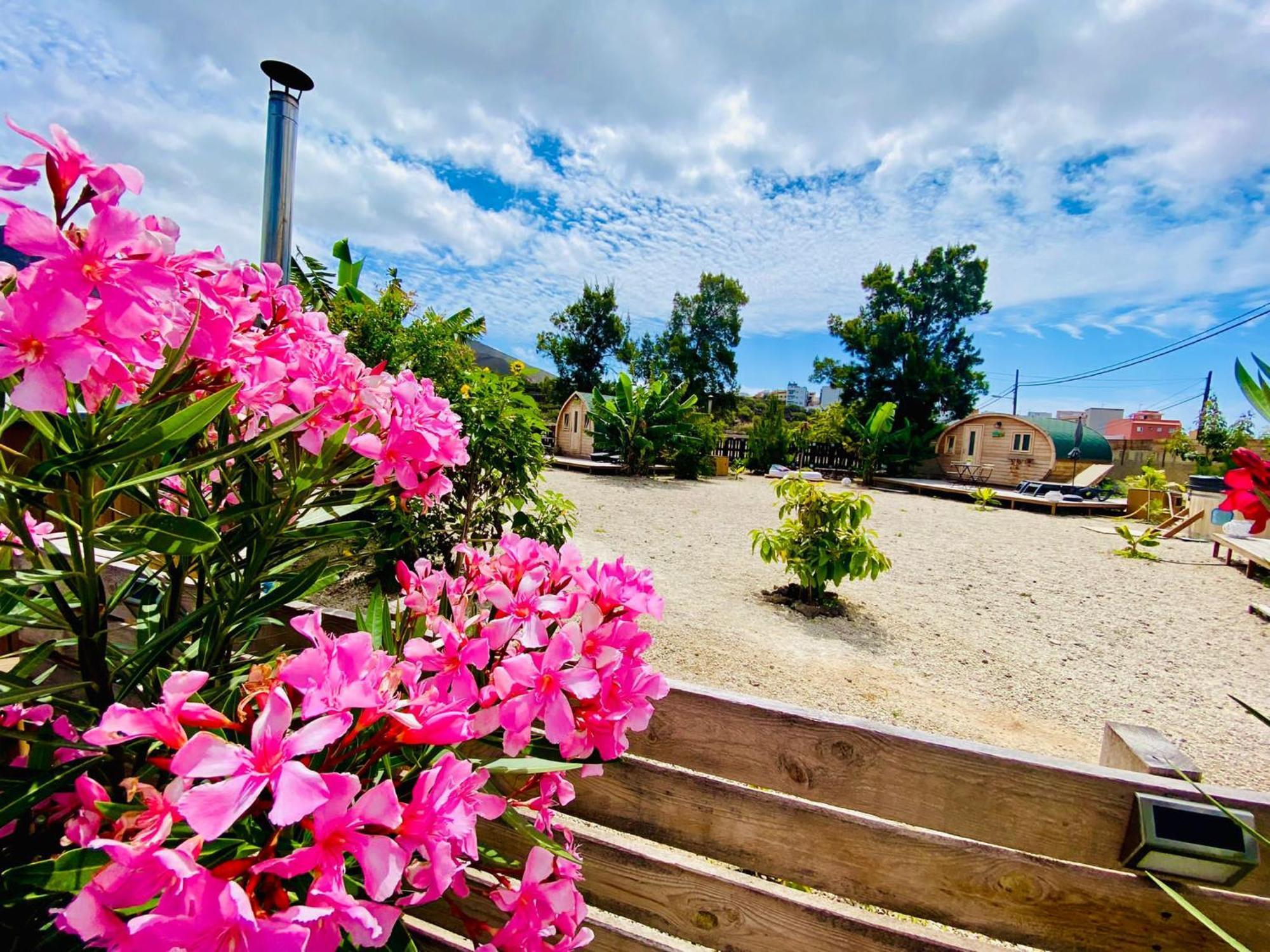 Hotel Privado Serendipia Natural Club Exclusive Buzanada المظهر الخارجي الصورة