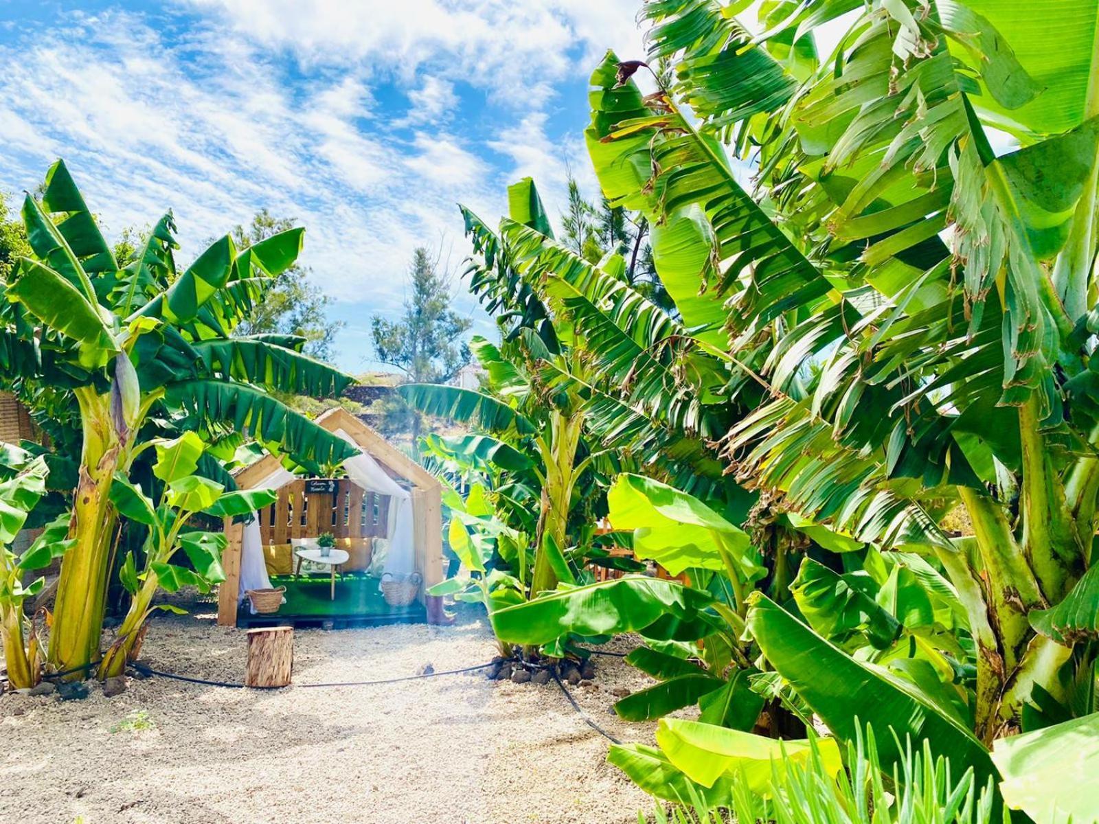 Hotel Privado Serendipia Natural Club Exclusive Buzanada المظهر الخارجي الصورة
