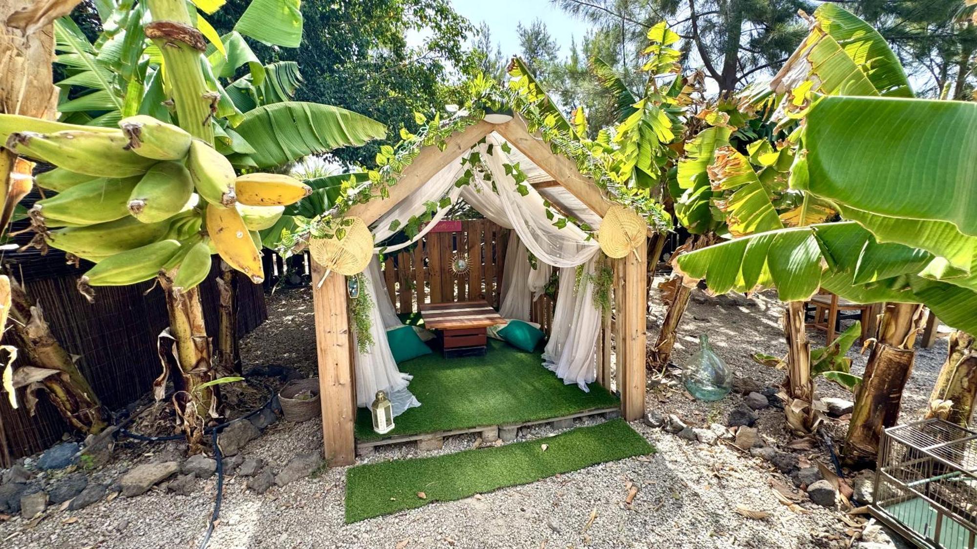 Hotel Privado Serendipia Natural Club Exclusive Buzanada المظهر الخارجي الصورة