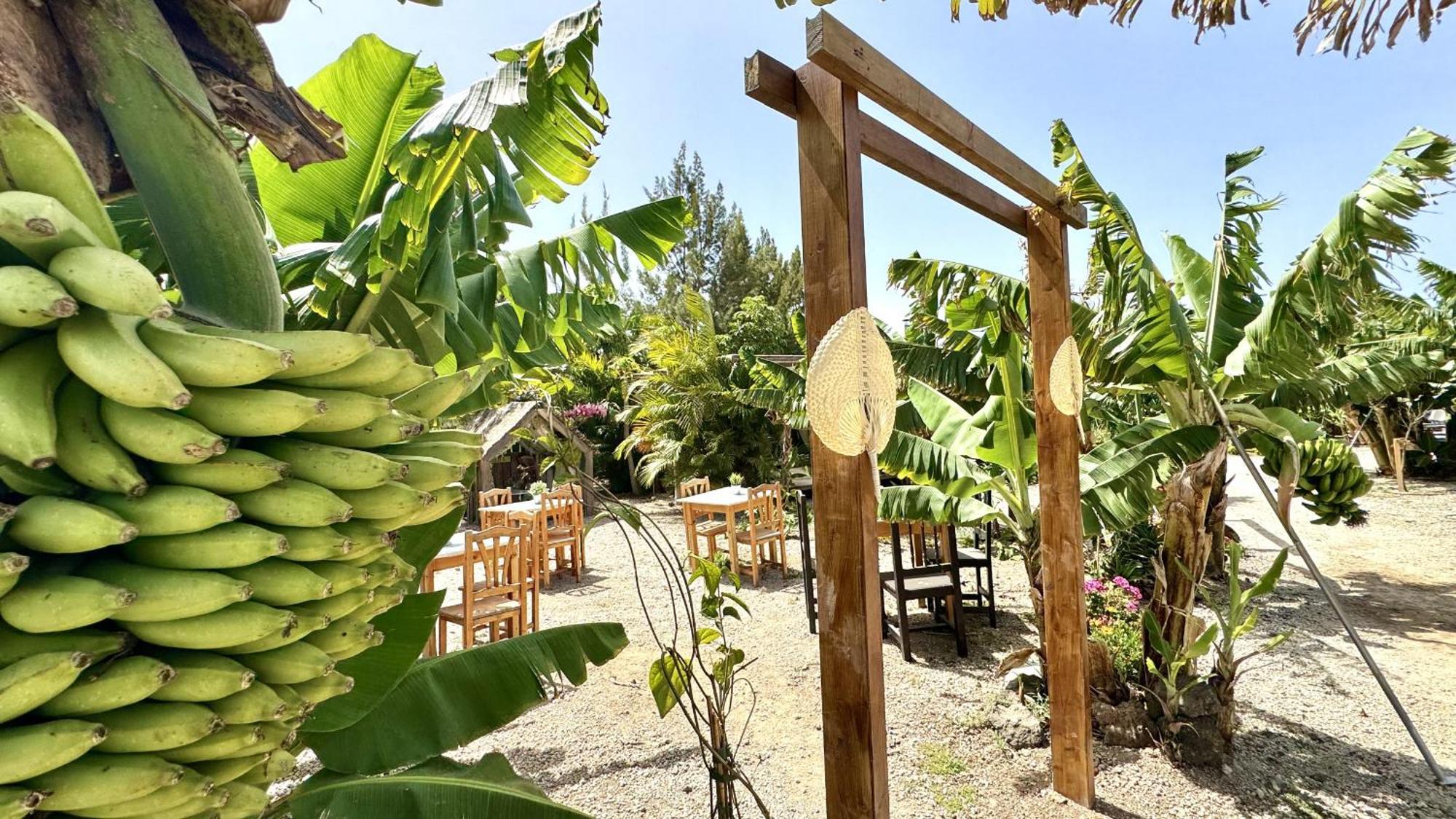 Hotel Privado Serendipia Natural Club Exclusive Buzanada المظهر الخارجي الصورة
